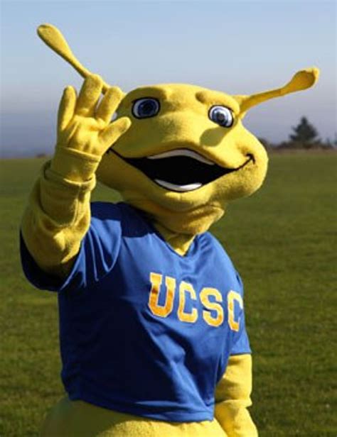 university of california santa barbara mascot